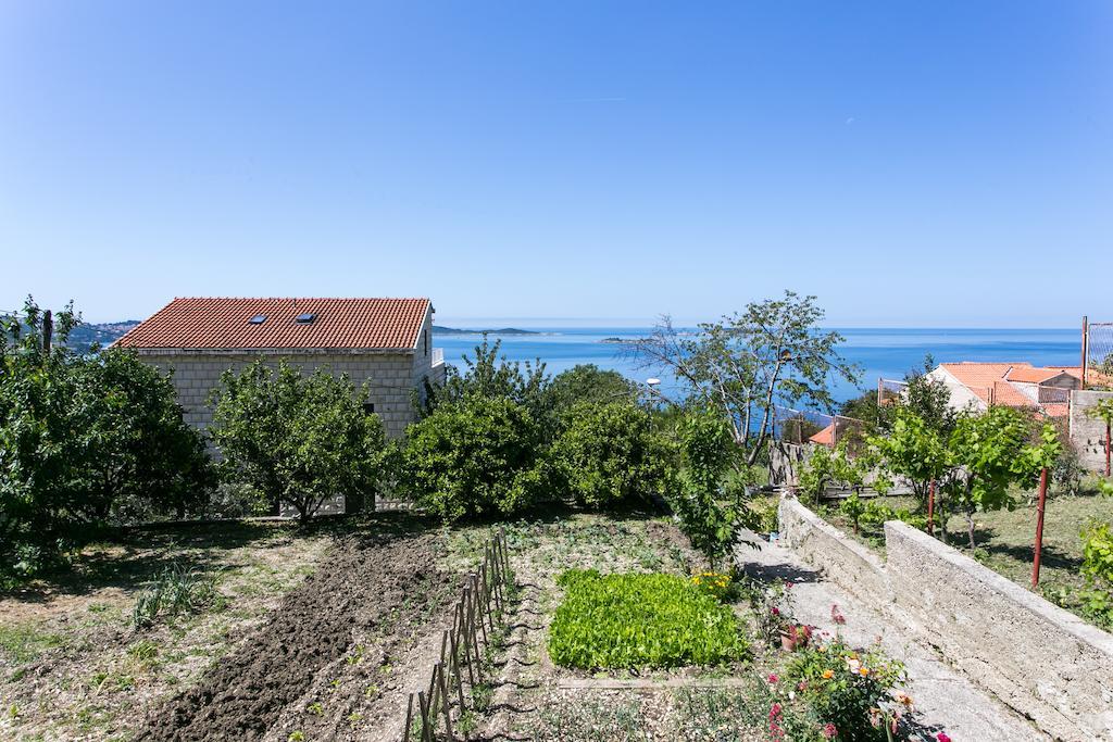 Apartmani Kate, Plat Mlini Habitación foto